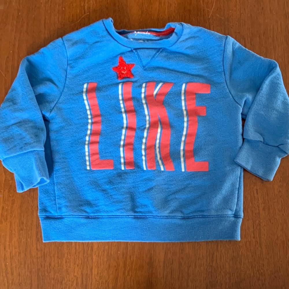🍊5/$25 Blue Kids Sweatshirt with “Like all Fun Things” Design